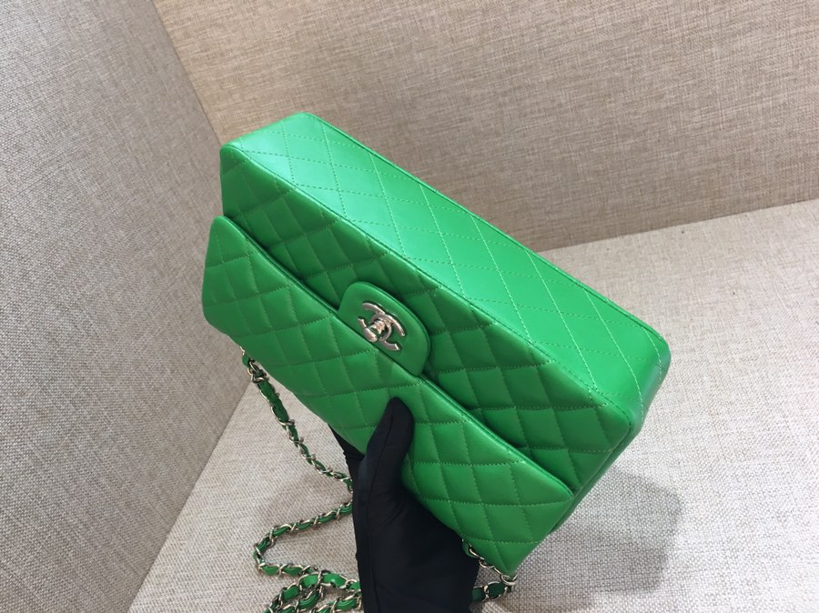 Medium Classic Flap Lambskin Bag AO1112 Green/Silver